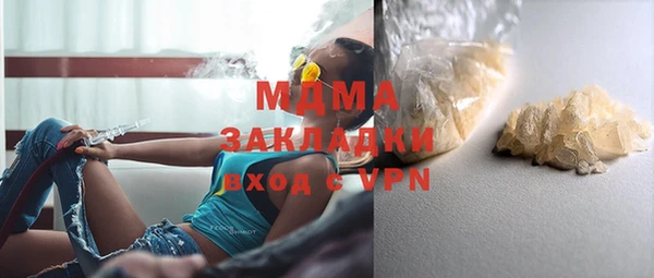стаф Алзамай