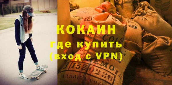 стаф Алзамай