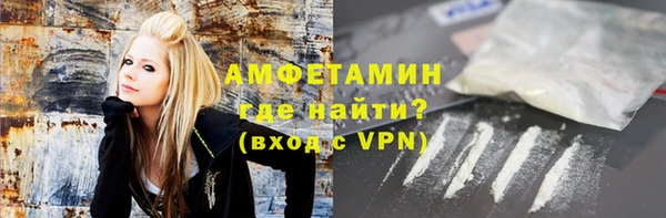 стаф Алзамай